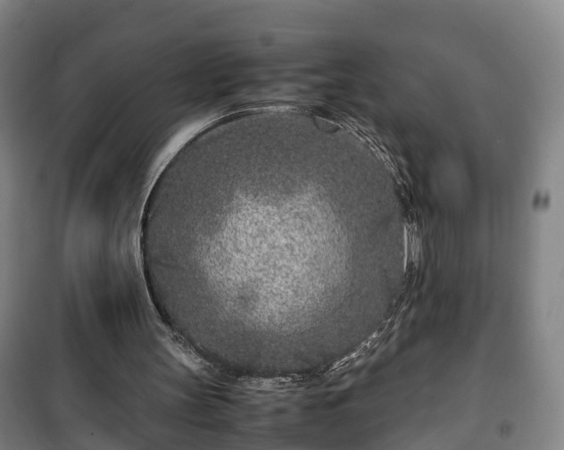 X0000100190147200806061306