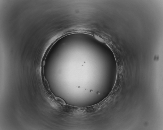 X0000100190148200806061306