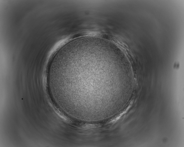 X0000100190149200806061307