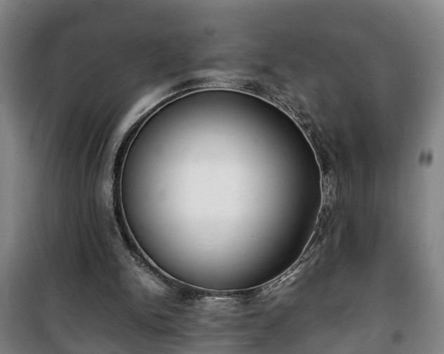 X0000100190150200806061307