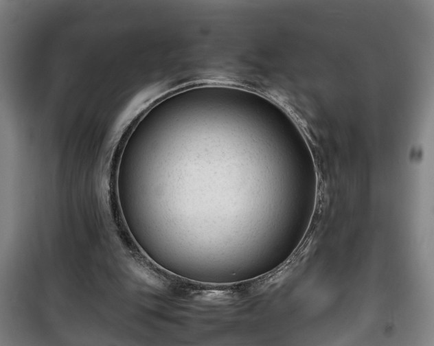 X0000100190151200806061307