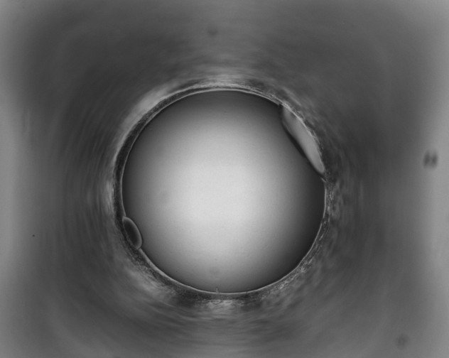 X0000100190152200806061307