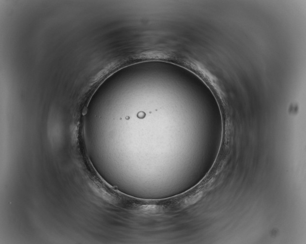 X0000100190153200806061307