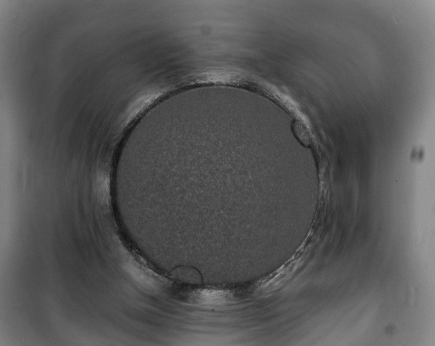 X0000100190154200806061307