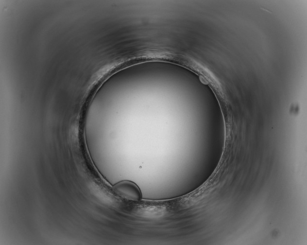 X0000100190155200806061307