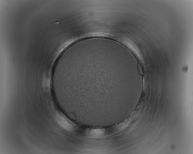 X0000100190156200806061307