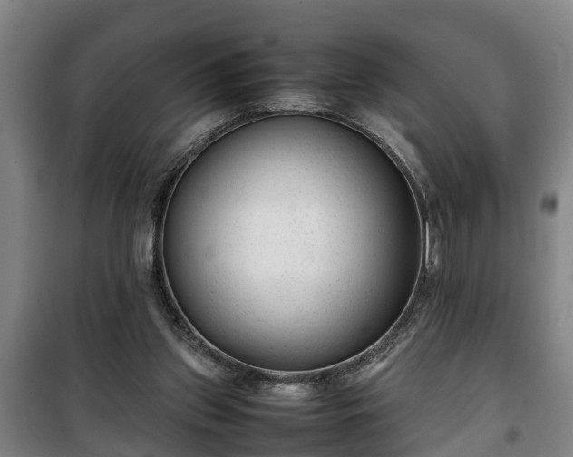 X0000100190157200806061307