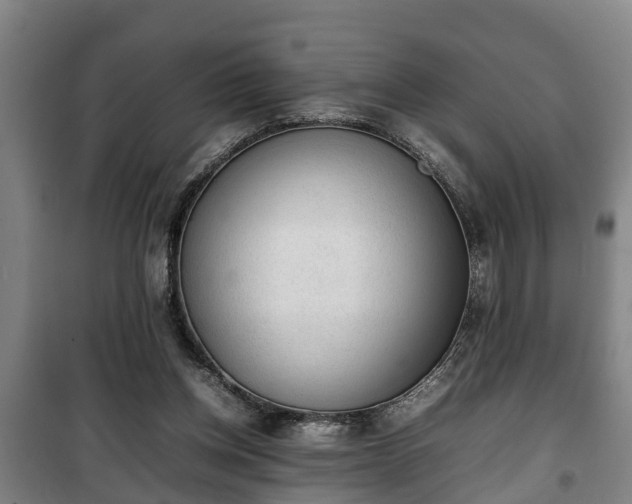 X0000100190158200806061307