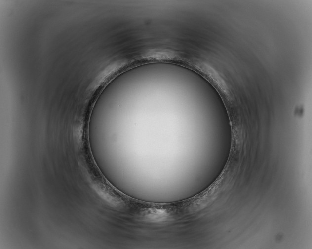 X0000100190159200806061307