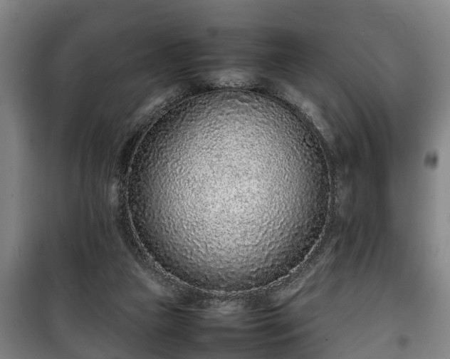 X0000100190161200806061307