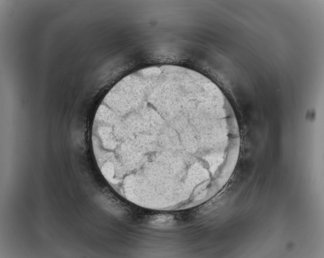 X0000100190162200806061307