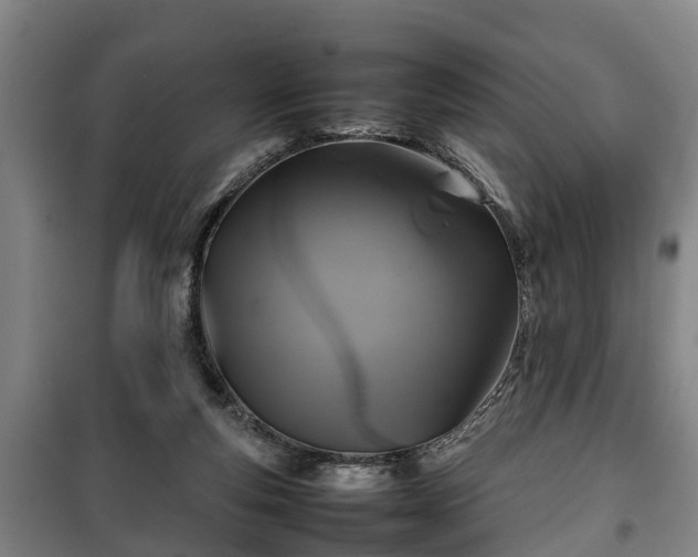 X0000100190163200806061307