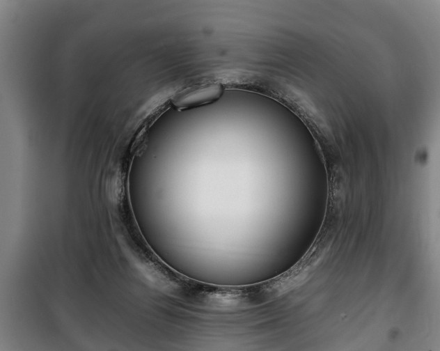 X0000100190164200806061307