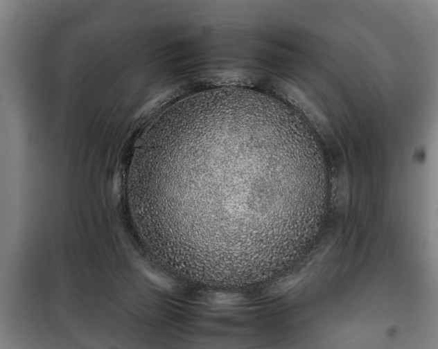 X0000100190165200806061307