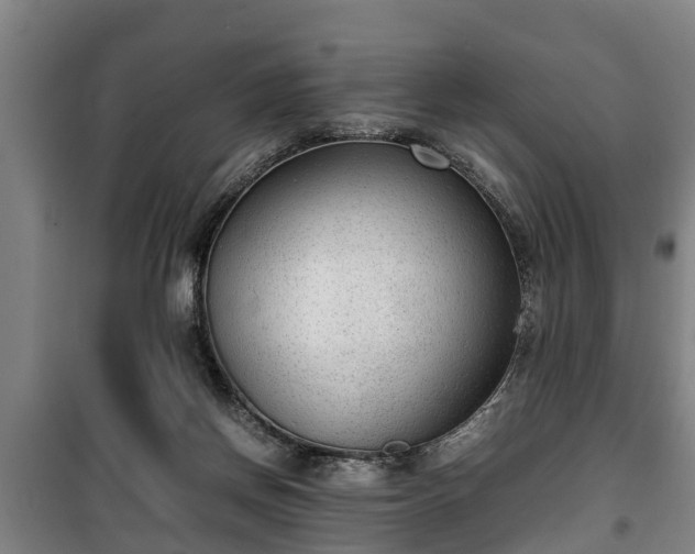 X0000100190166200806061307