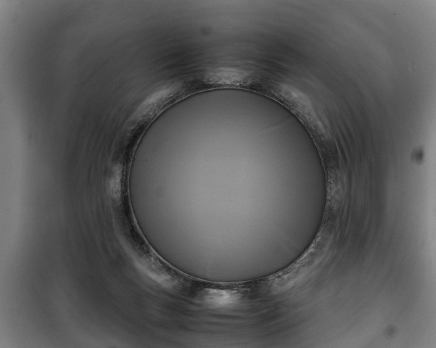 X0000100190167200806061307