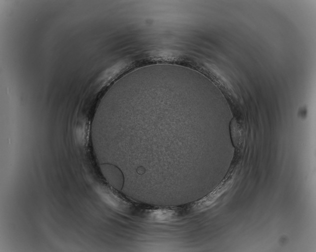 X0000100190168200806061307