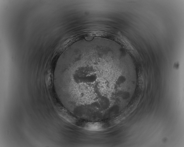 X0000100190169200806061307