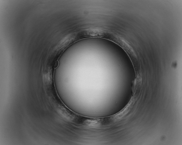 X0000100190170200806061307