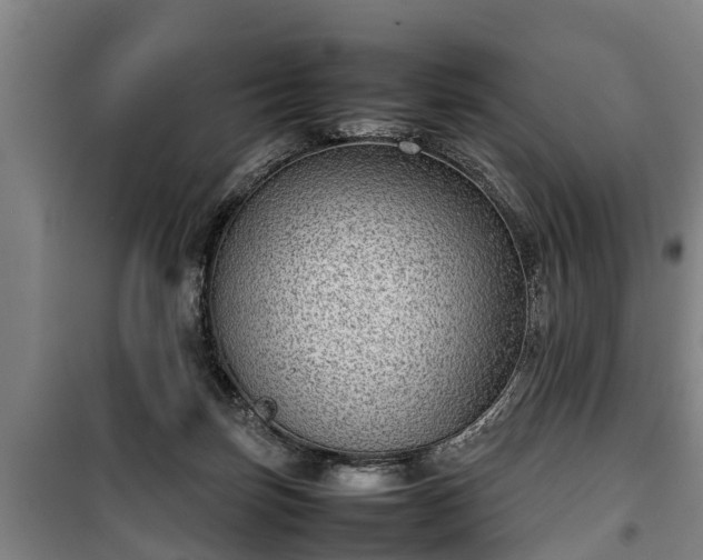 X0000100190171200806061307