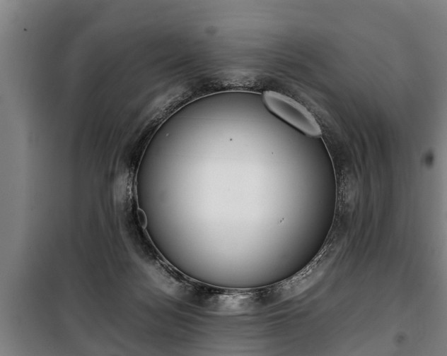 X0000100190172200806061307