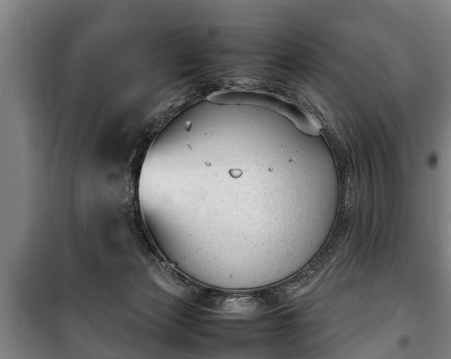 X0000100190173200806061307