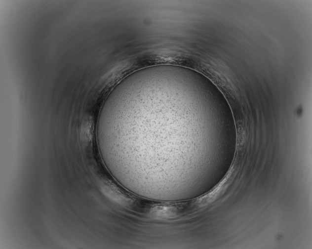 X0000100190174200806061307