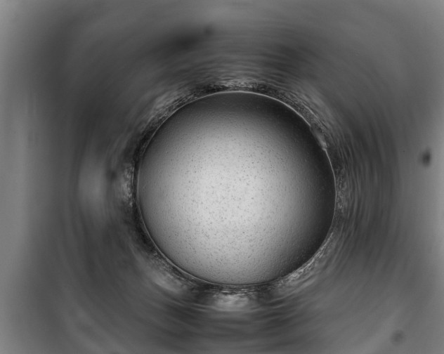 X0000100190175200806061307