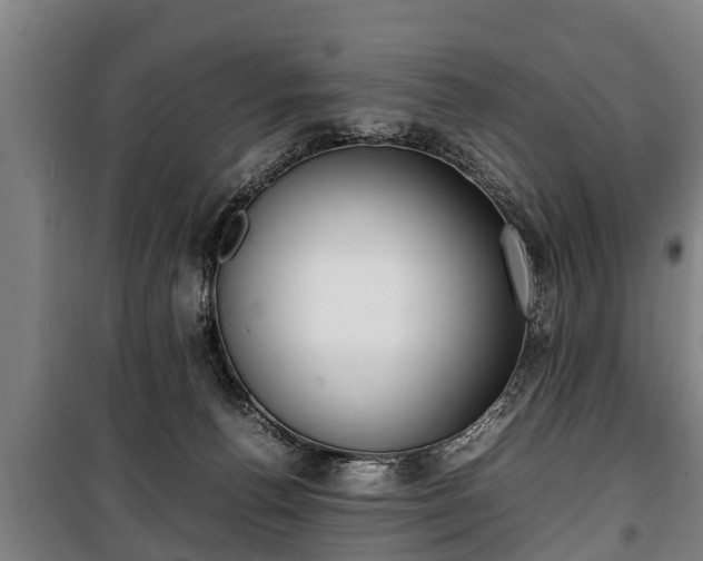 X0000100190176200806061307