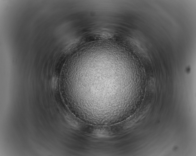 X0000100190177200806061307