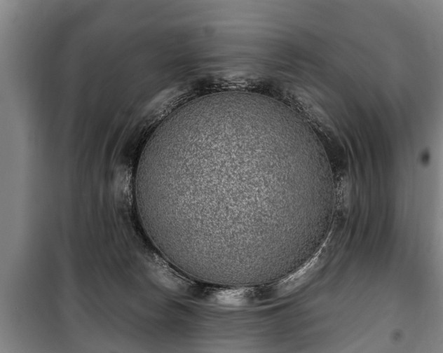 X0000100190178200806061307