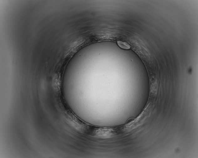 X0000100190179200806061307