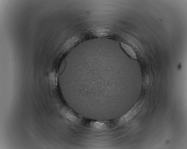 X0000100190180200806061307