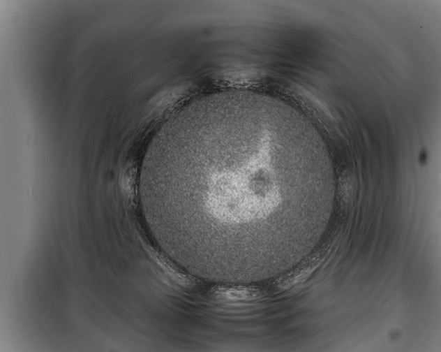 X0000100190181200806061307