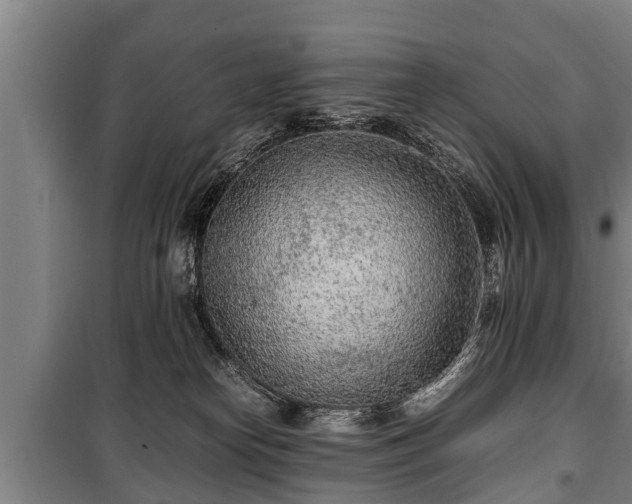 X0000100190182200806061307