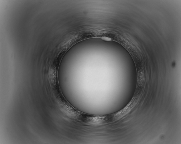 X0000100190184200806061307