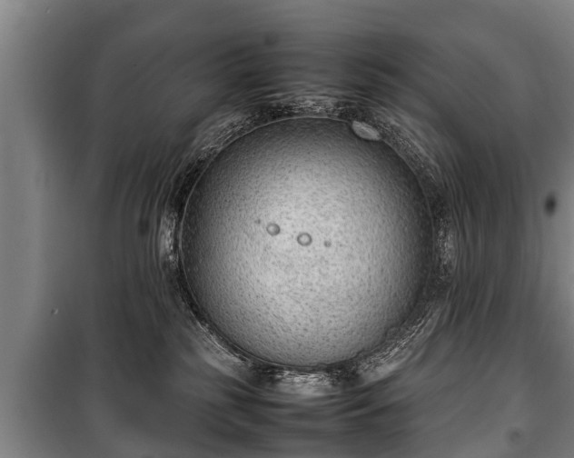 X0000100190185200806061307