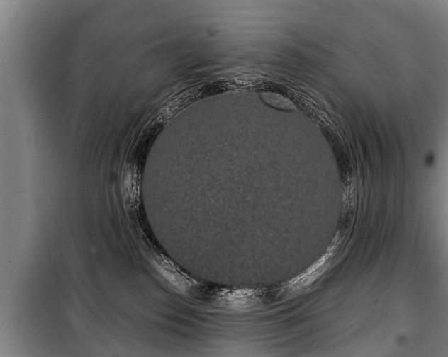 X0000100190186200806061307