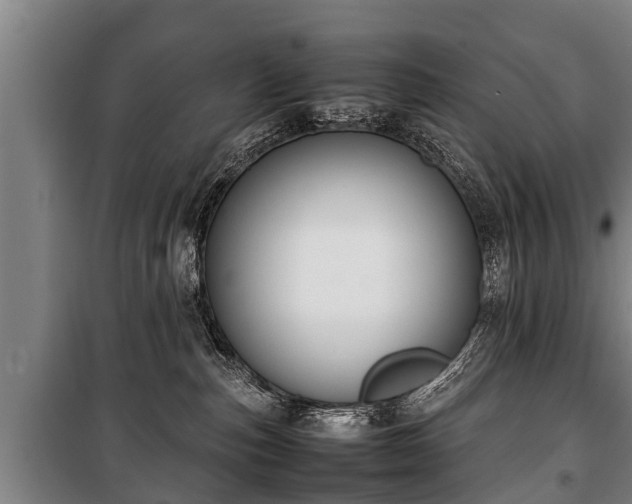 X0000100190187200806061307