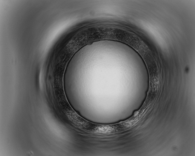 X0000100190189200806061307