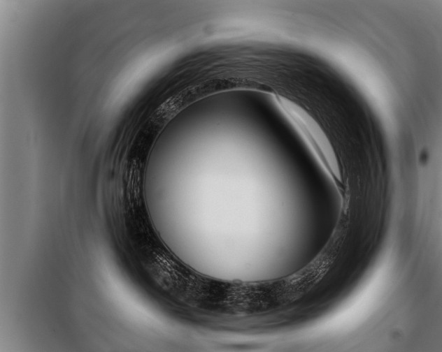 X0000100190190200806061307