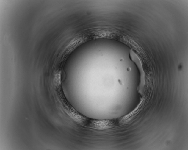 X0000100190191200806061307