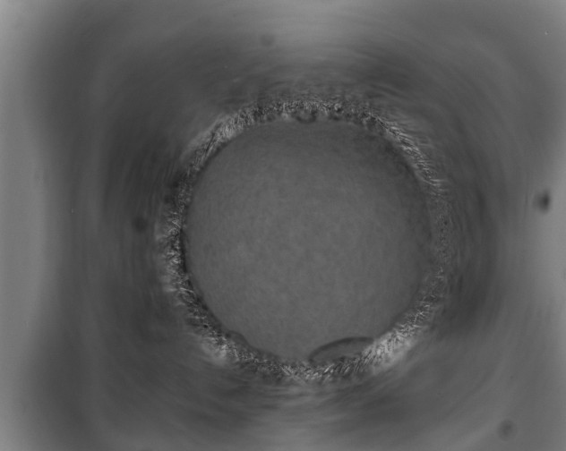 X0000100190192200806061307