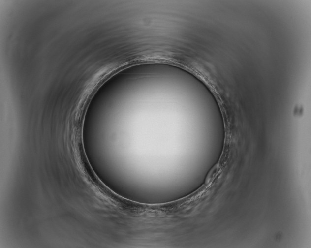 X0000100190193200806061306