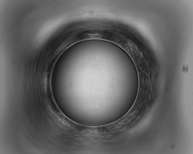 X0000100190194200806061306