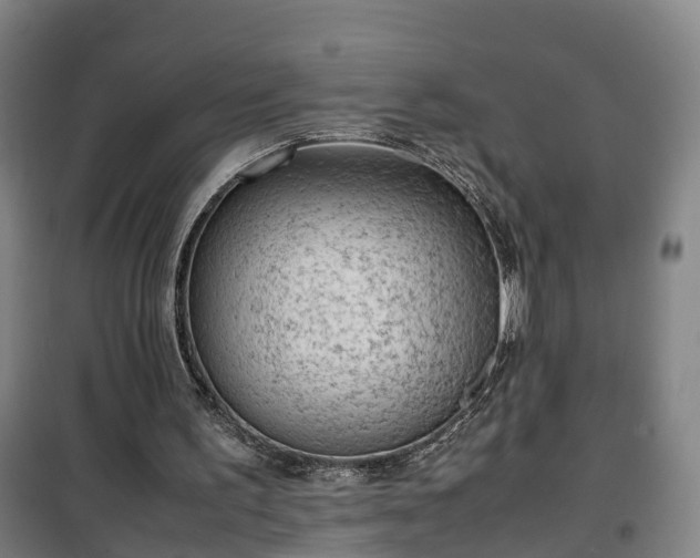 X0000100190195200806061306