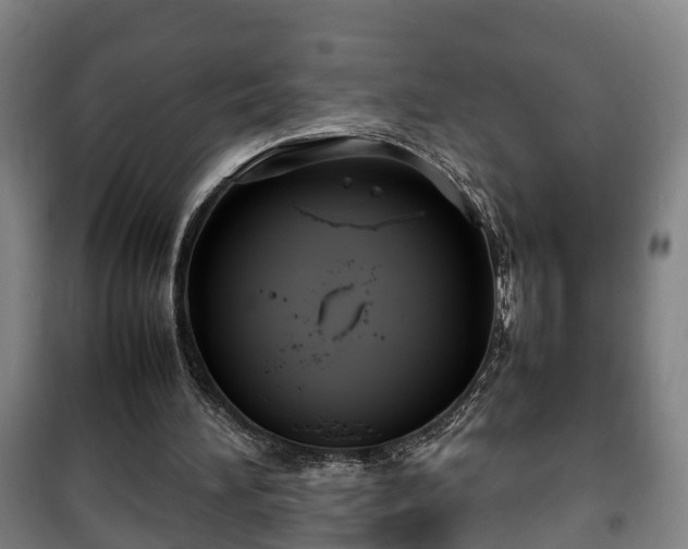 X0000100190196200806061306