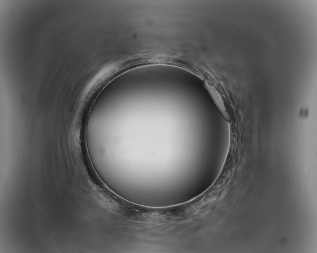 X0000100190197200806061306