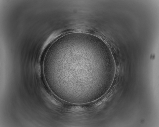 X0000100190198200806061306