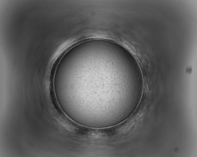 X0000100190199200806061306